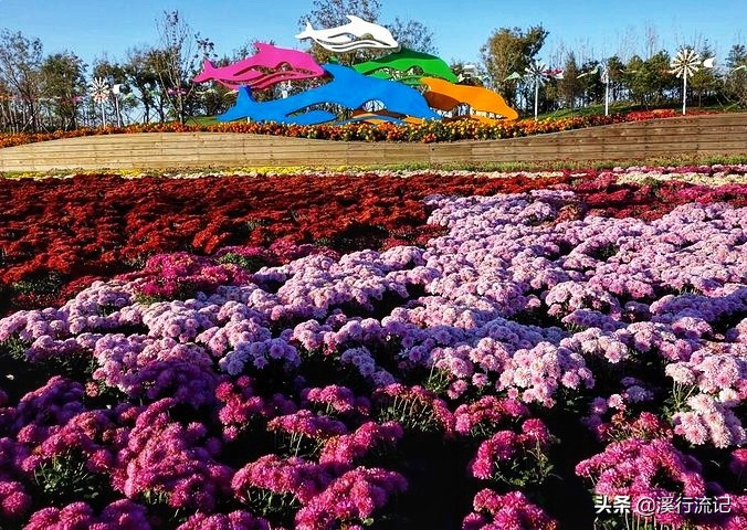 锦州世博园公交车时间表,锦州世博园9月中旬