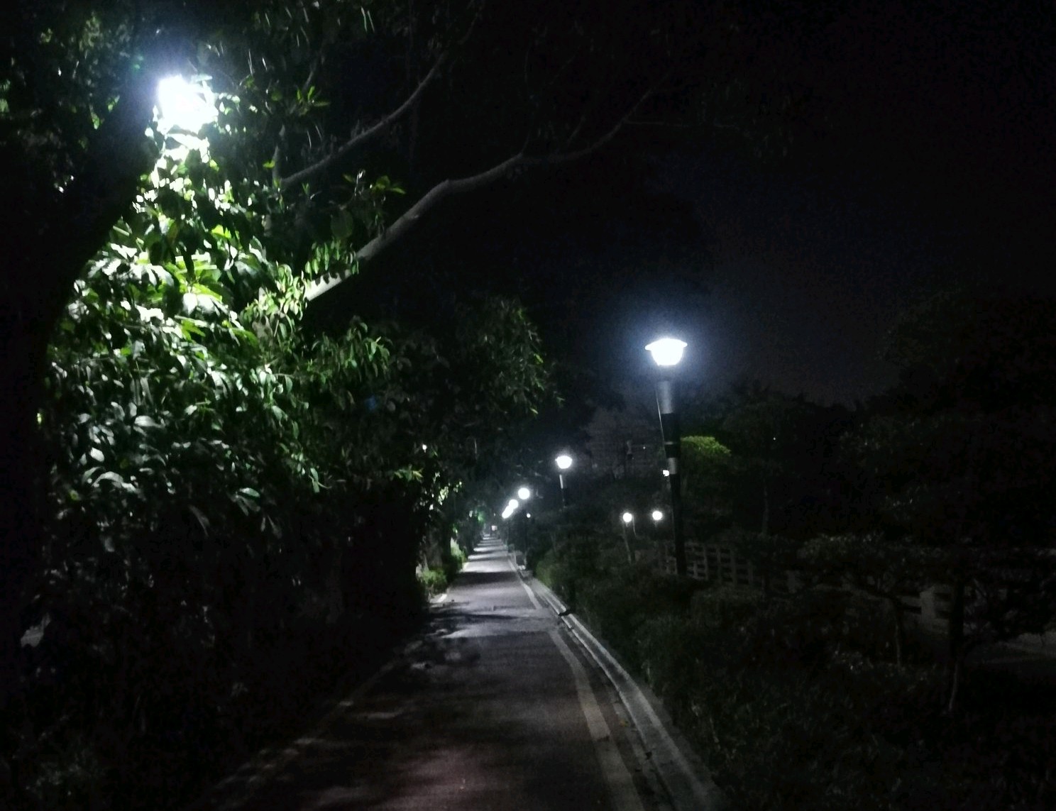 浜虹敓鐧藉,浜虹敓榛戠櫧鍒嗘槑