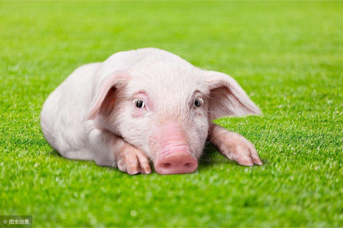 超度加500元下辈子投胎美国？年度沙雕谣言合集，笑死人不偿命！