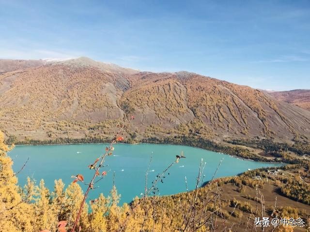 前夫出轨两年后找我复婚了怎么办,求前夫原谅复婚