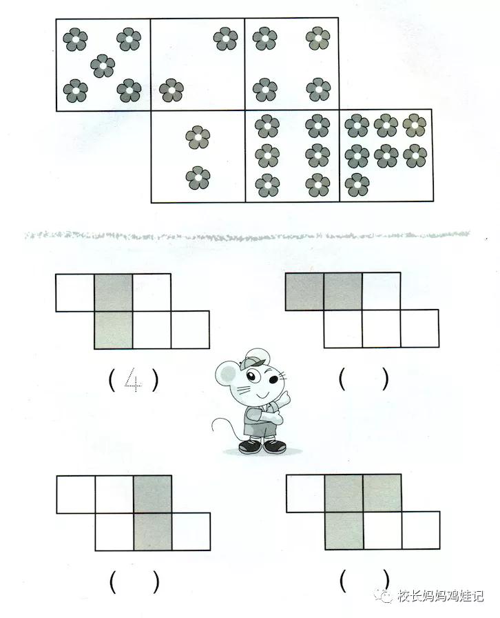 斯奎尔全脑数学讲解3到4岁,四岁学完所有课程