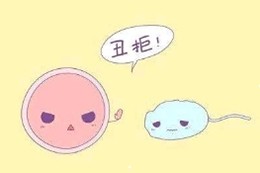 从精子质量可以看出肾的好坏吗,高质量男性精子态势