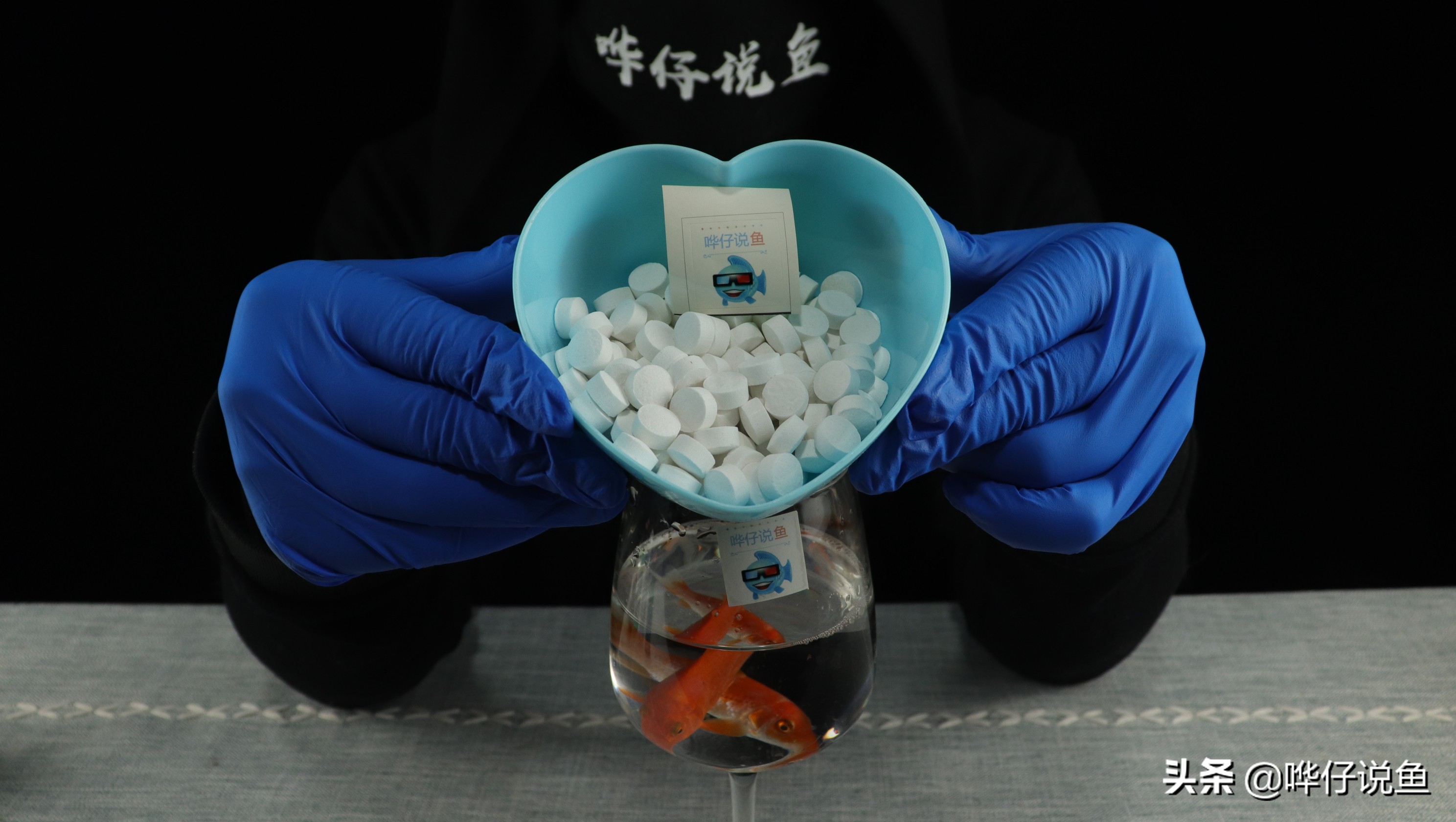 鱼缸消毒的方法和关注事项,怎样给鱼缸消毒最好最干净