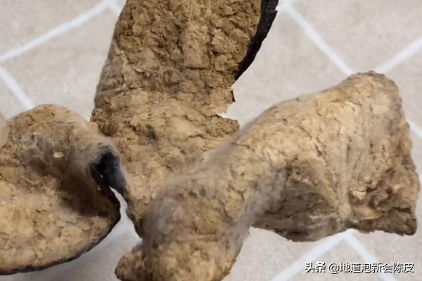 如何辨别陈皮是否发霉,新会陈皮怎么保存才不会发霉