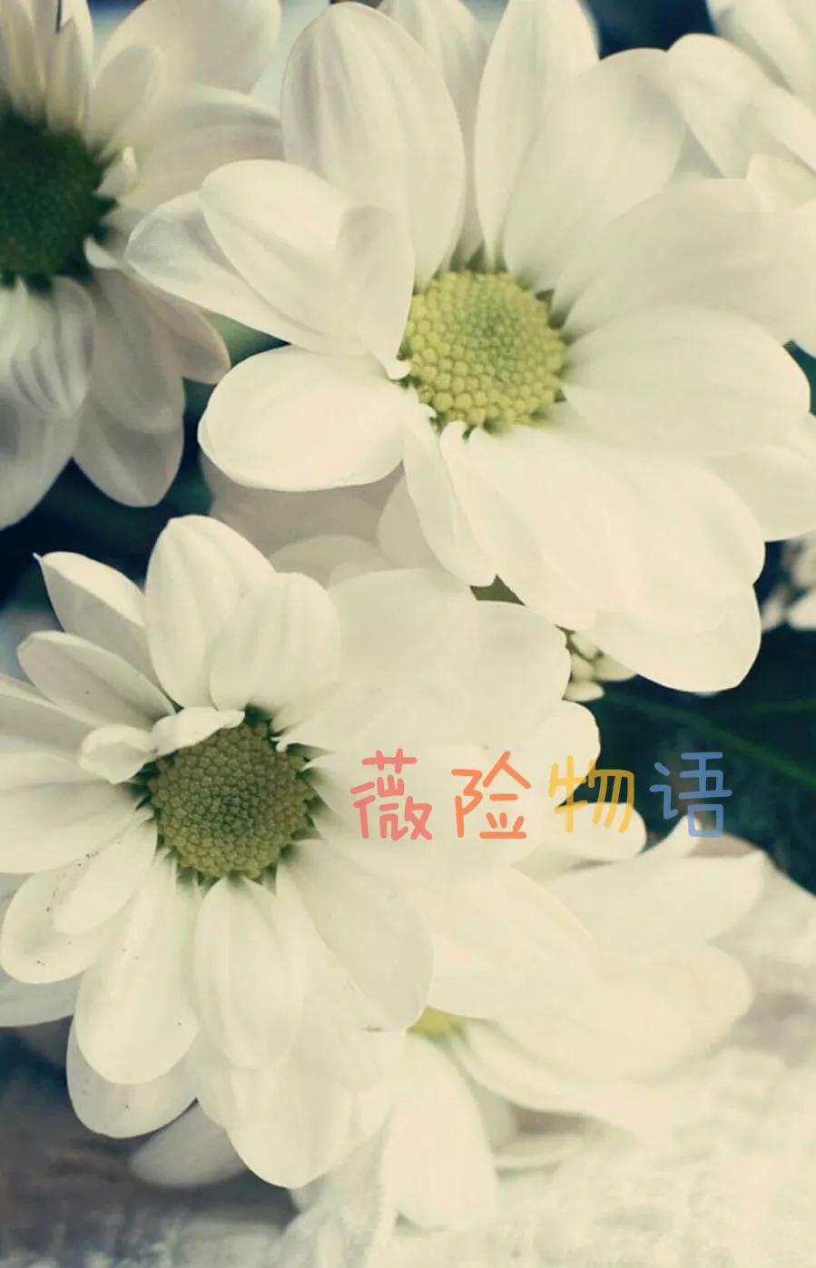 太平车险怎么看理赔明细,太平保险出的理赔不满意要怎么办