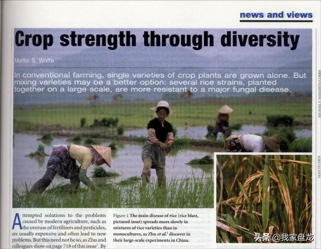 嗨玩一天不重样,嗨玩48小时活动