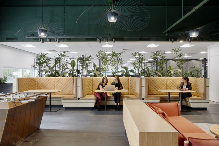 davidjones婢虫床瀹樼綉,婢虫床davidjones