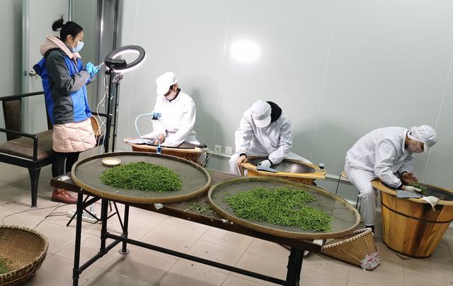 茶农怎么卖茶,茶农卖茶的优势