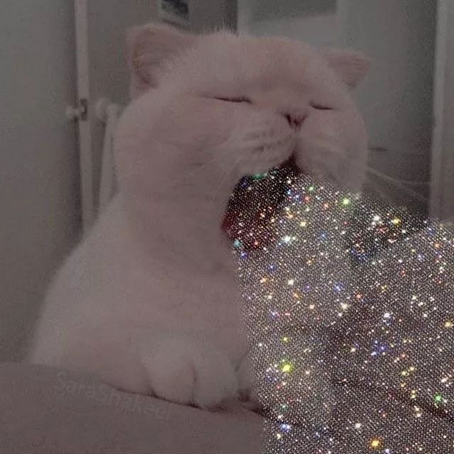 万物皆可「施华洛世奇」！大概没有这个妹子造不出的blingbling