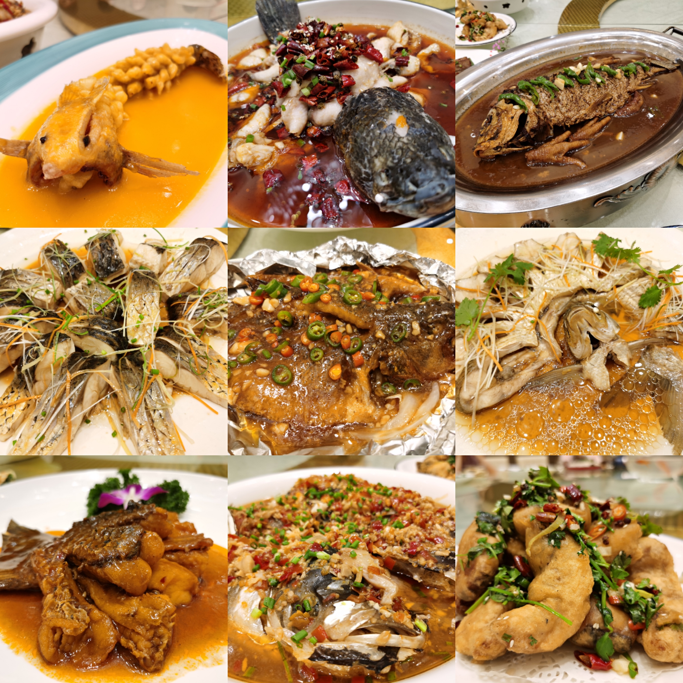 南水北调淅川移民移到许昌哪里,淅川南水北调移民周口