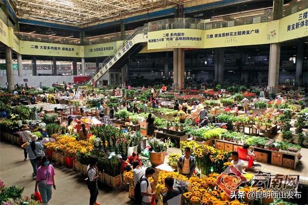 怎样成为云南人,怎样才能成为你想成为的人