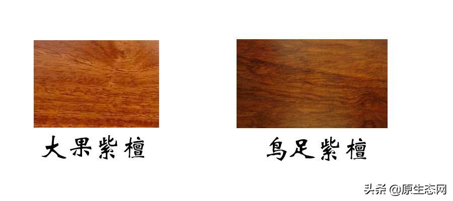 古木材知识大全,木材家具材料知识大全