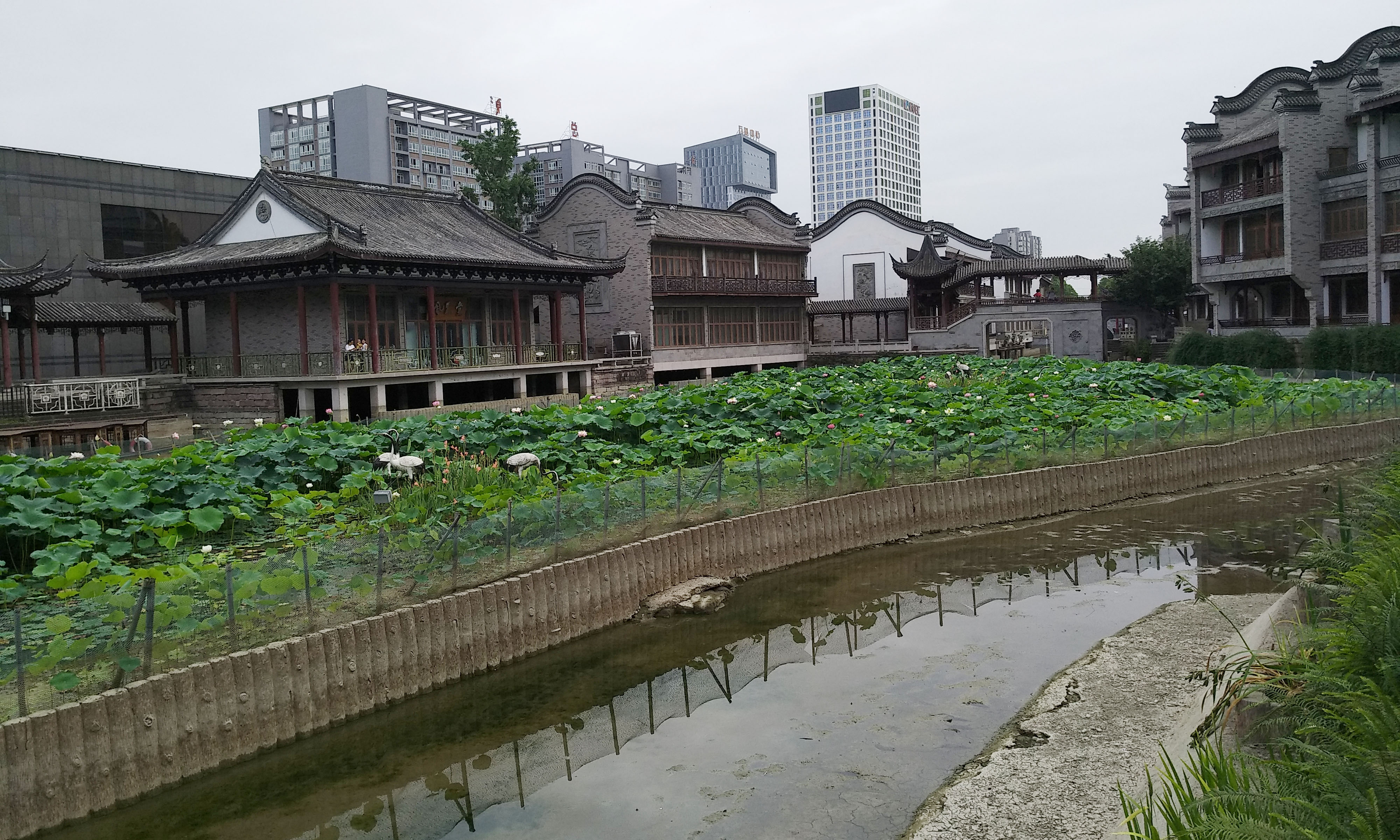 成都龙潭水乡最新消息,成都龙潭水乡别墅区