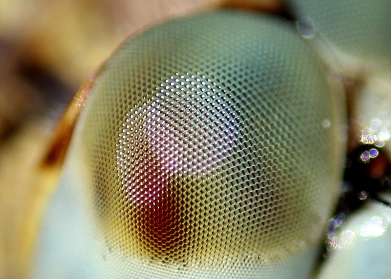 手机如何拍出单反的效果,如何用手机拍出单反的层次感