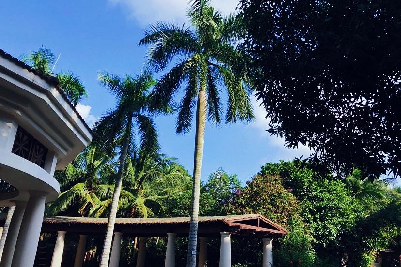 海口观澜湖温泉开放了吗,海口观澜湖温泉水疗