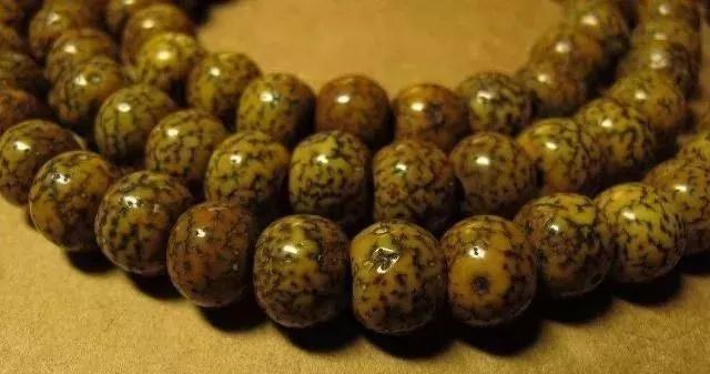 星月菩提奶油黄好还是顺白好,星月菩提奶油黄