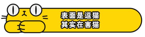 我家猫吞了根针险些丧命，这些东西千万别让猫碰