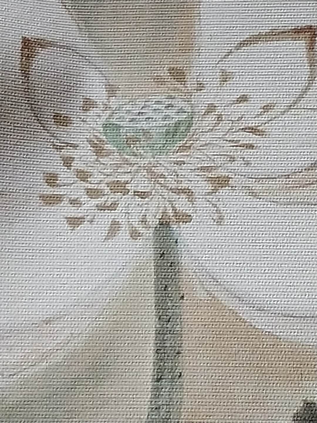 极品荷花图,年年有鱼荷花图