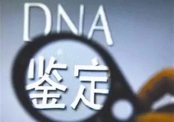 答疑解惑和答疑解析,答疑解惑提什么问题好服务
