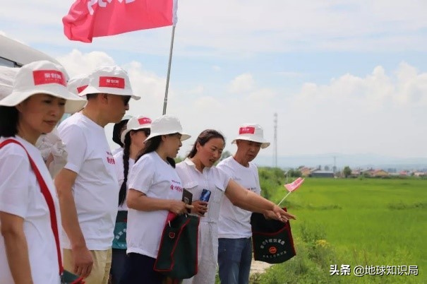 红遍全国的东北土话哪来的,东北的土话都是哪些