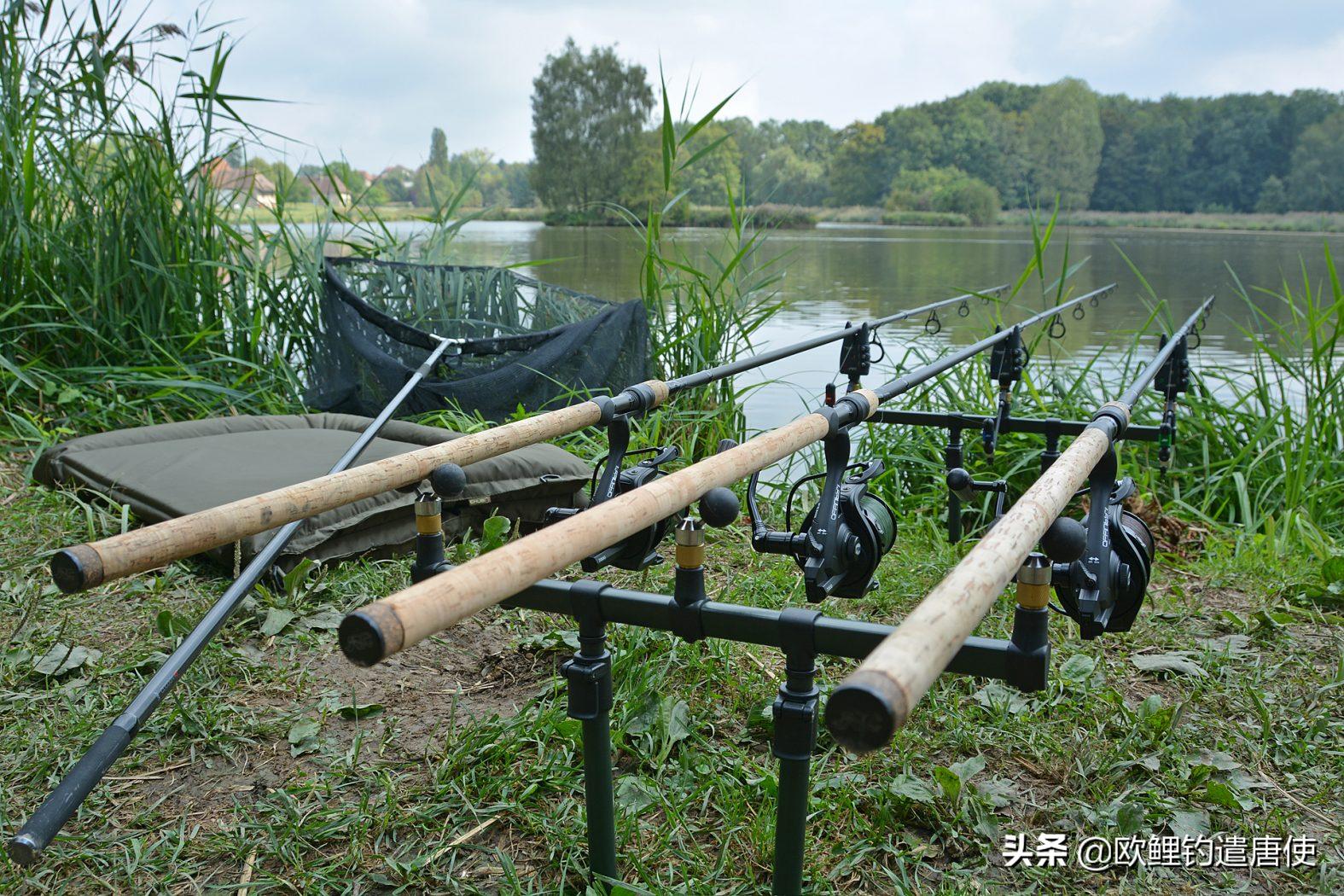 欧鲤钓竿买多长合适呢,欧鲤钓竿全套装备推荐