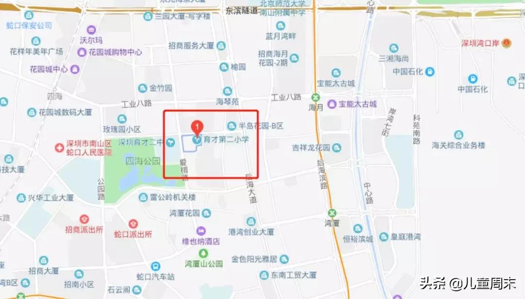 南山蛇口育才一小/二小/三小/四小，哪所更合适你家孩子？