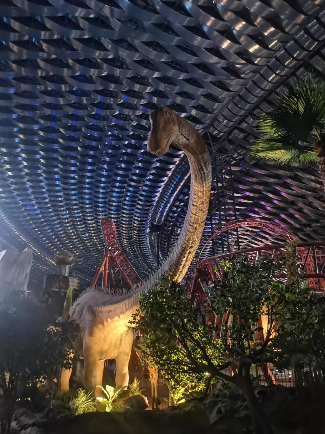 迪拜和阿布扎比旅游关注事项,阿布扎比和迪拜自由行攻略