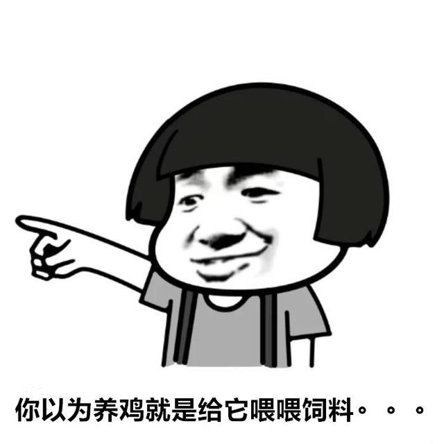 鸡保肝最好的药,鸡保肝护肝用什么药