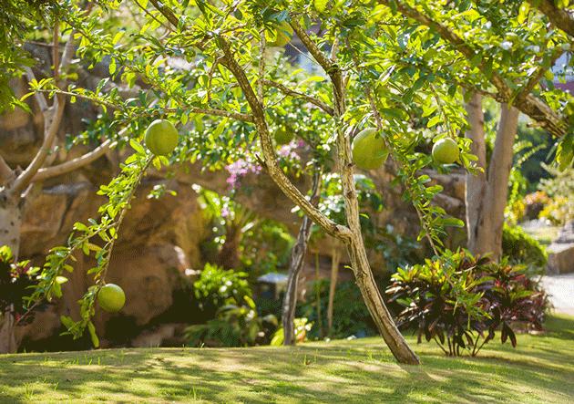 三亚亚龙湾奢华度假酒店,三亚亚龙湾性价比最高亲子酒店
