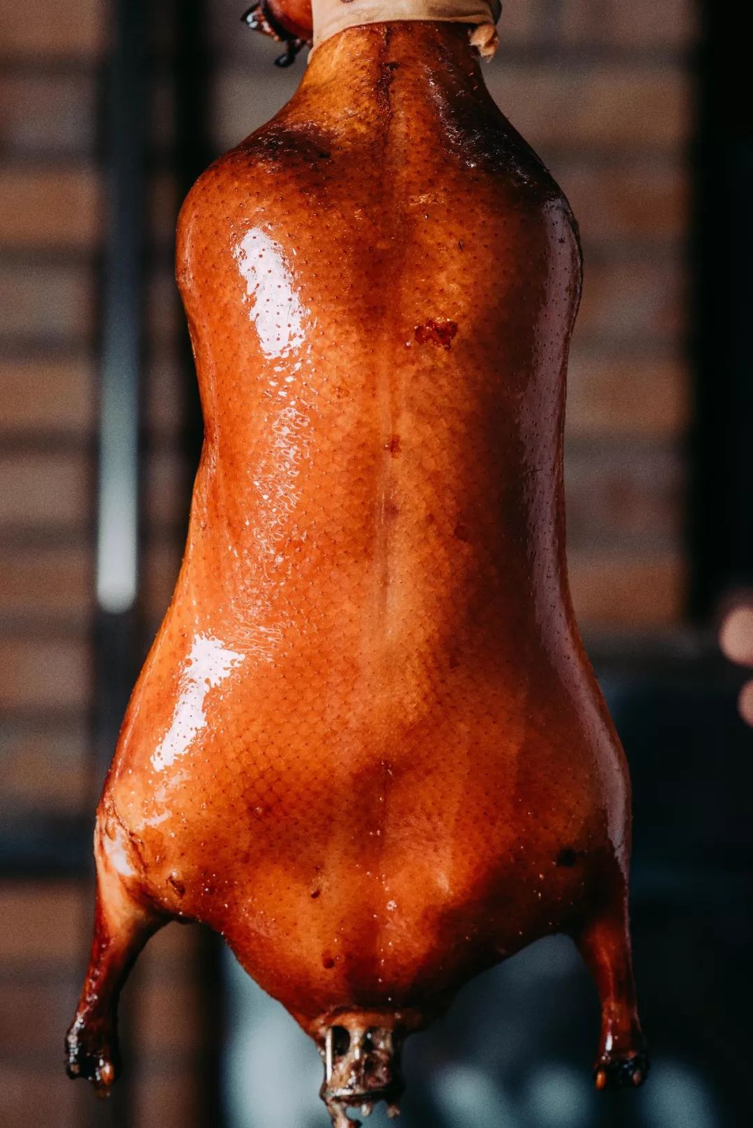 不出北京就能吃到正宗的云南菜,合肥北平食府