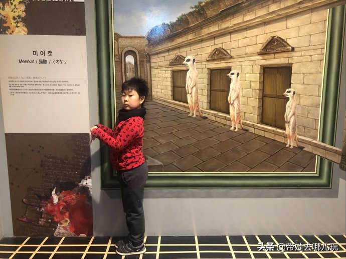 5天小长假国内飞海外,小长假出境游