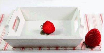 dior香奈儿圣罗兰,dior香奈儿雅诗兰黛