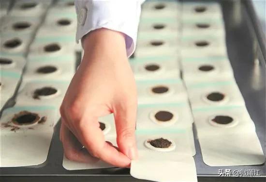 三伏贴中医院,中医院的三伏贴