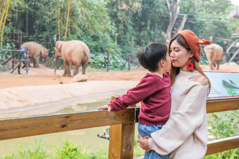 玩转广州长隆野生动物世界之行,广州长隆动物世界游玩攻略图