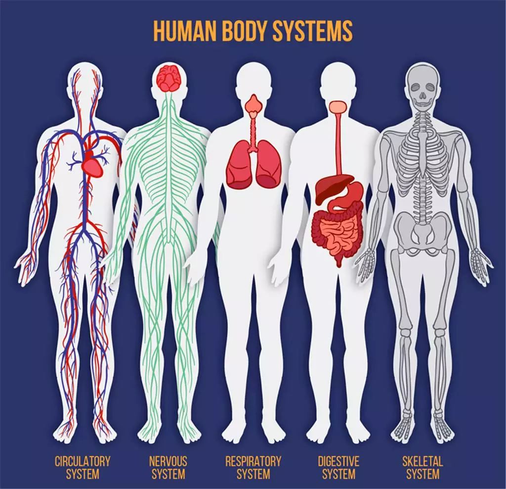 芳疗师零基础学习,纠结学纹绣还是学美容