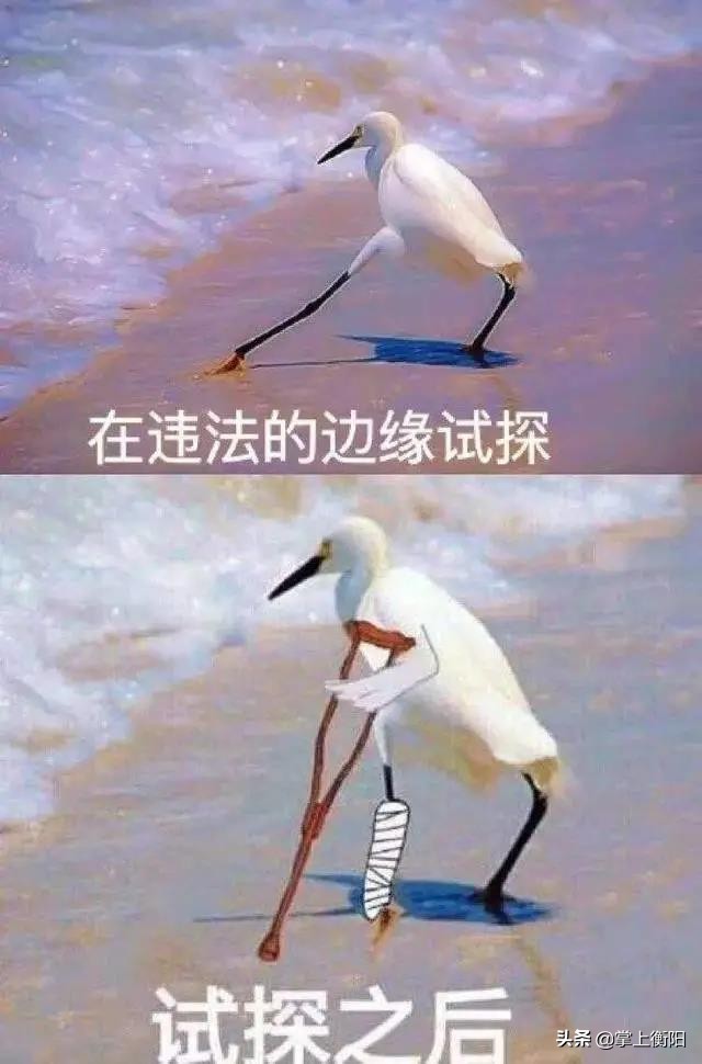 紧急公告！衡阳人社、公安两部门联合发布