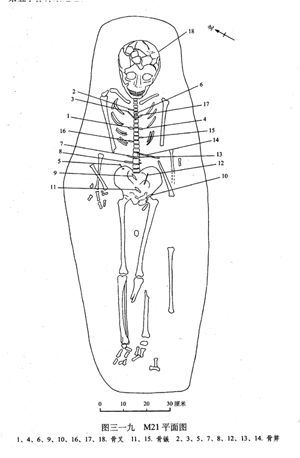 7300年前谜案：姑娘身上18把骨器，会阴处1支骨钉，全身35处伤