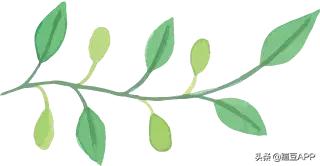 为什么对外经济贸易大学出国率这么高？