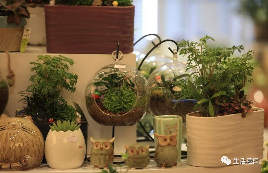 一招解决室内生活小常识,生活小常识冬天房间干燥怎么办