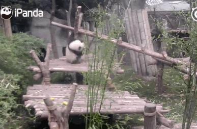 中国最闲适的城市,中国最悠闲城市