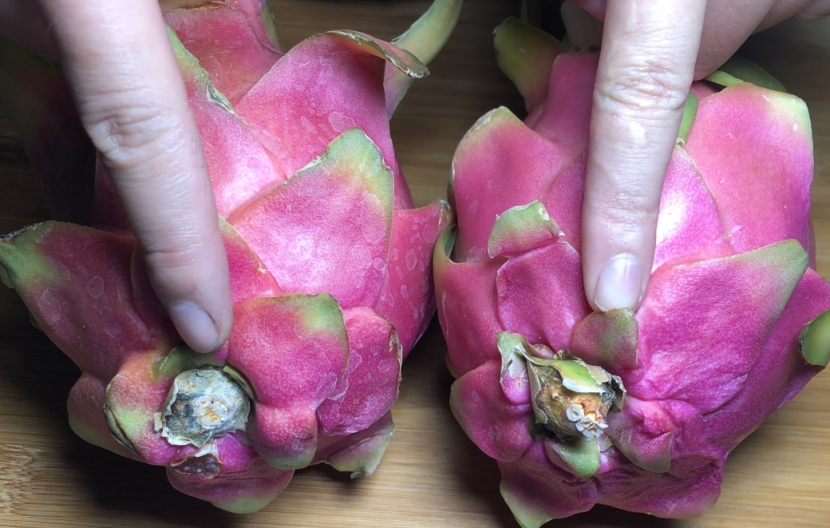 怎么选火龙果甜不甜,火龙果怎么选才甜