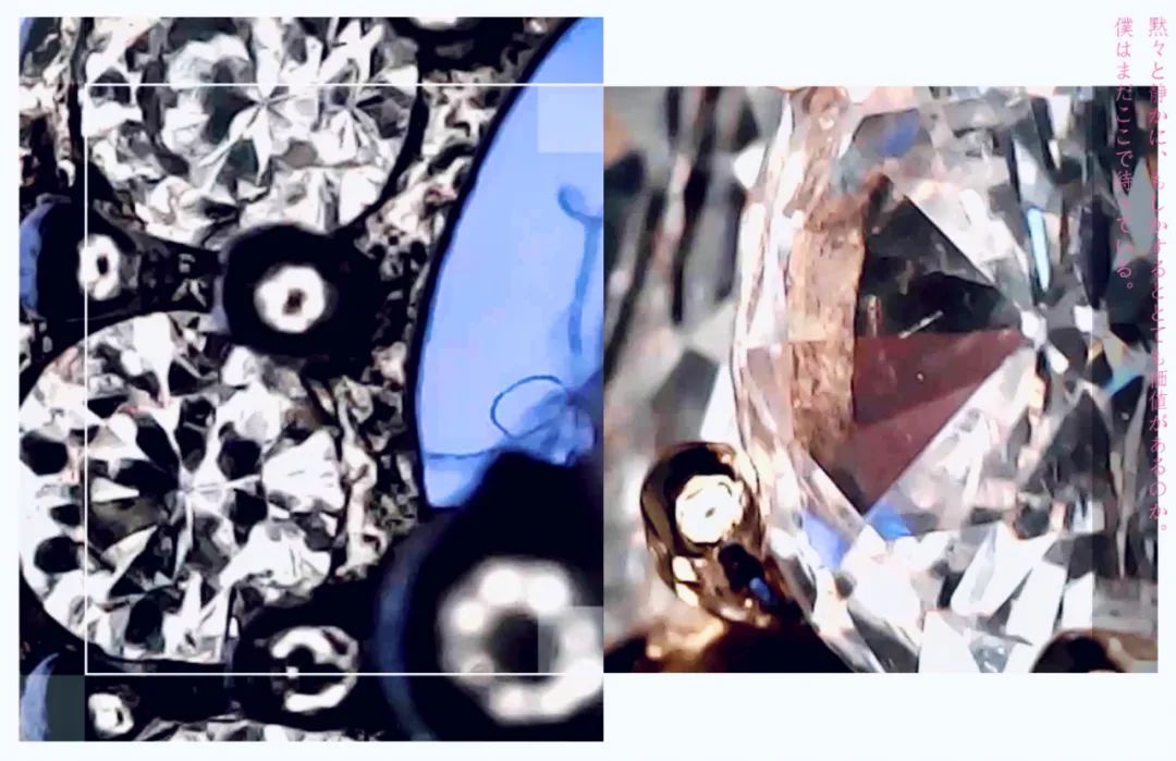 暑假孩子玩手机不如打篮球吧,儿童显微镜放大蚂蚁120倍