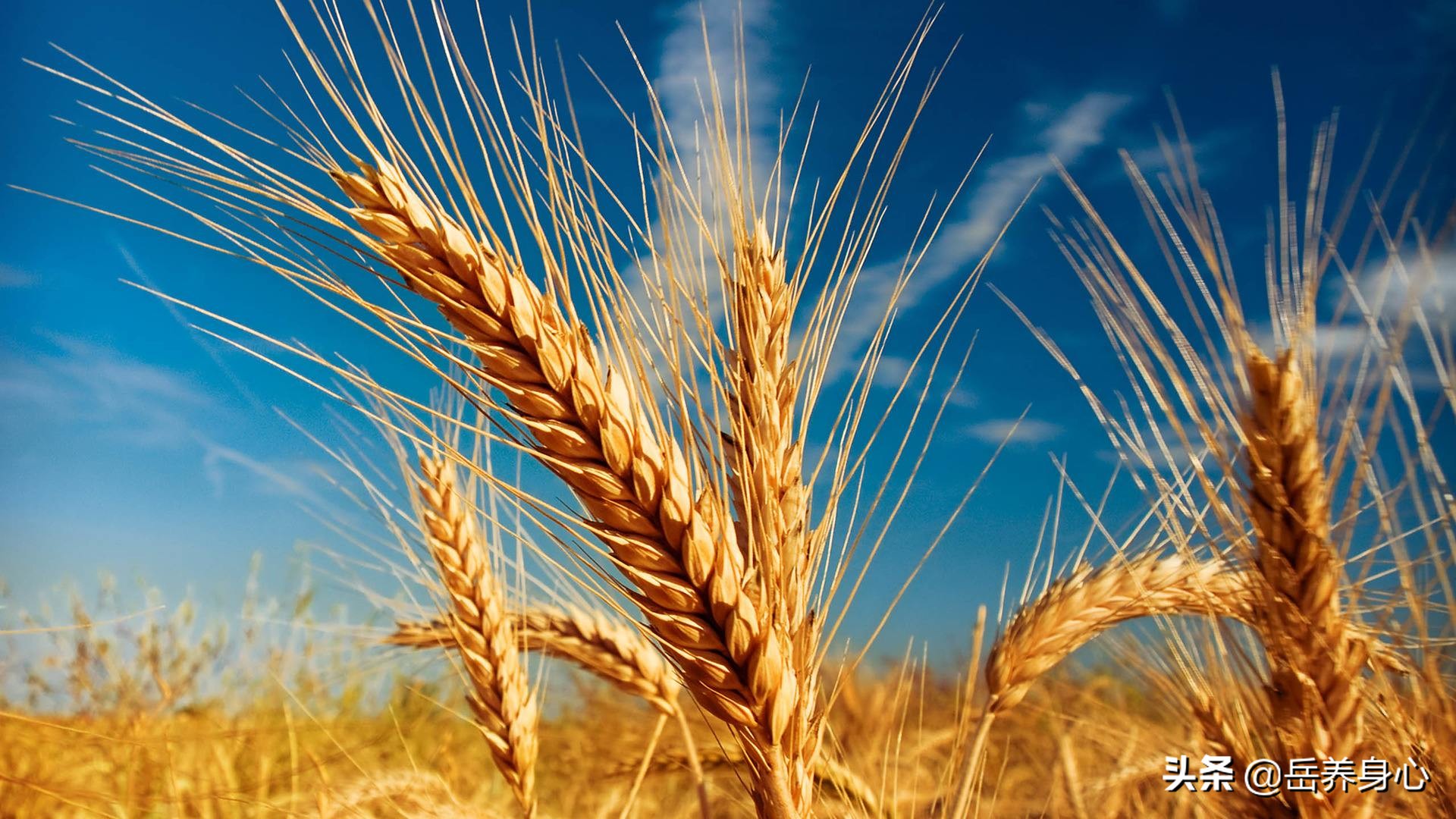 怎么自测过敏源,如何检测过敏成分