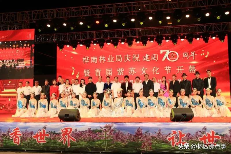 桦南林业局有限公司荣获“全国文明单位”荣誉称号