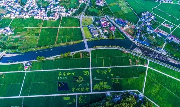 震撼！钱塘江畔出现巨型画作，有28个足球场这么大！