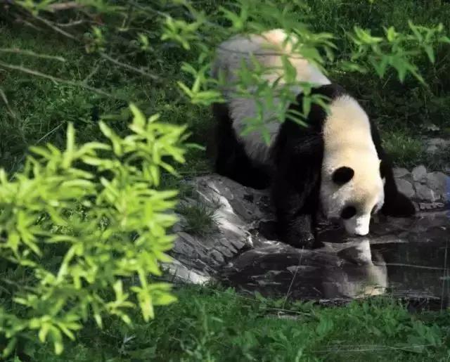 中国最闲适的城市,中国最悠闲城市
