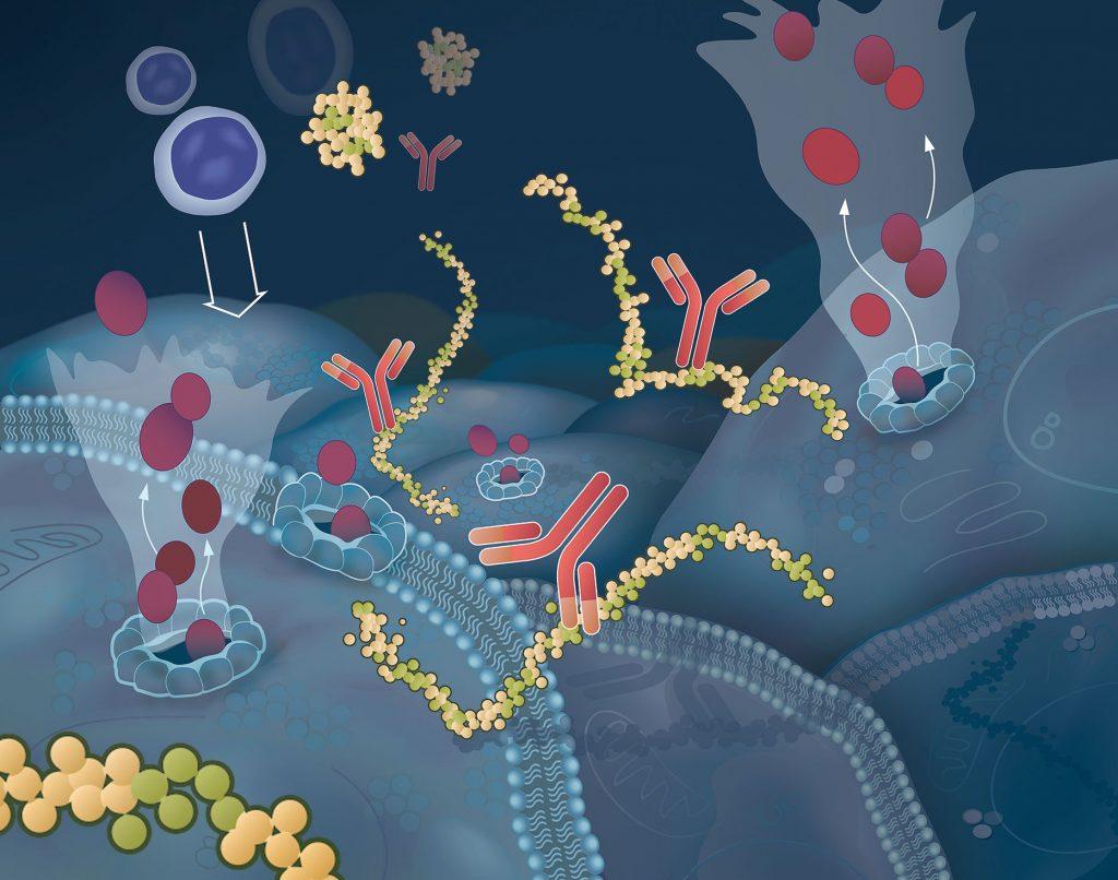癌症疗效评估标准,国际癌症组织对癌症的建议