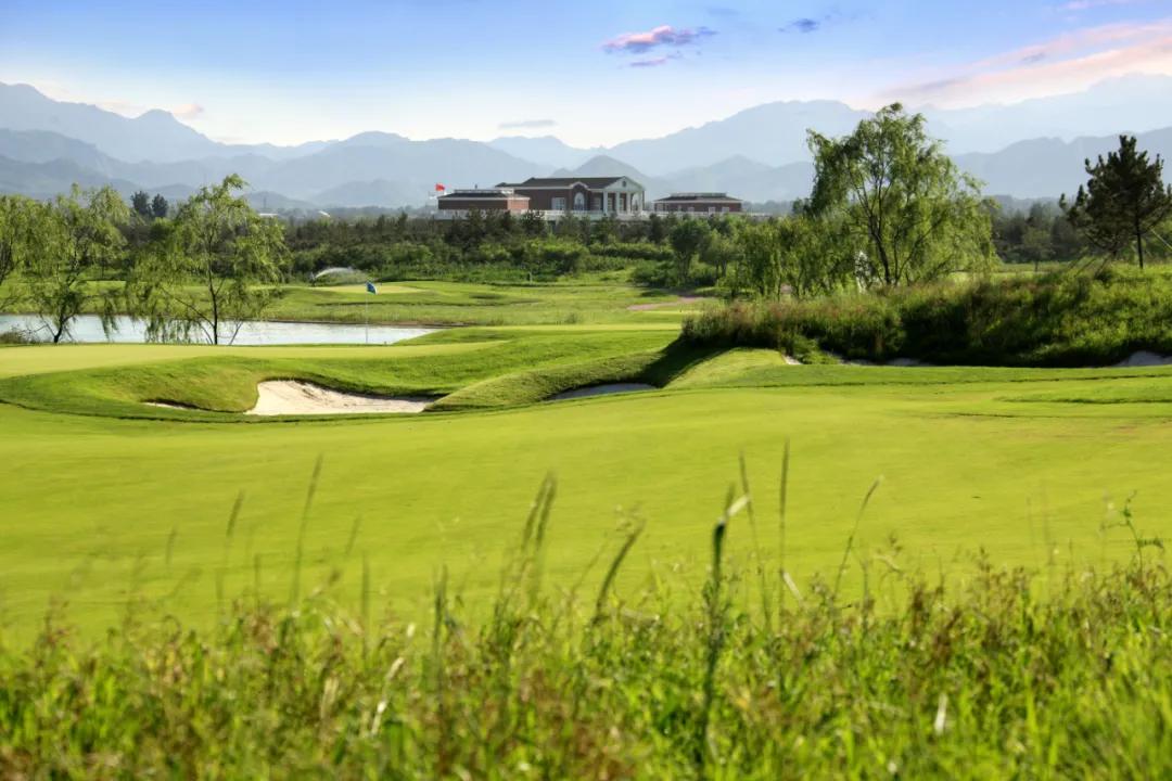 红牛是怎么火起来的,红牛成名历史