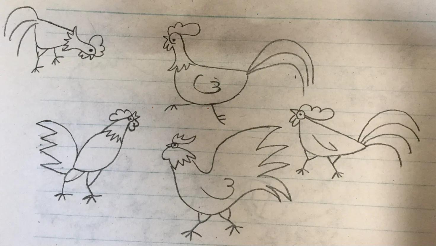 母鸡带小鸡简笔画,公鸡母鸡简笔画