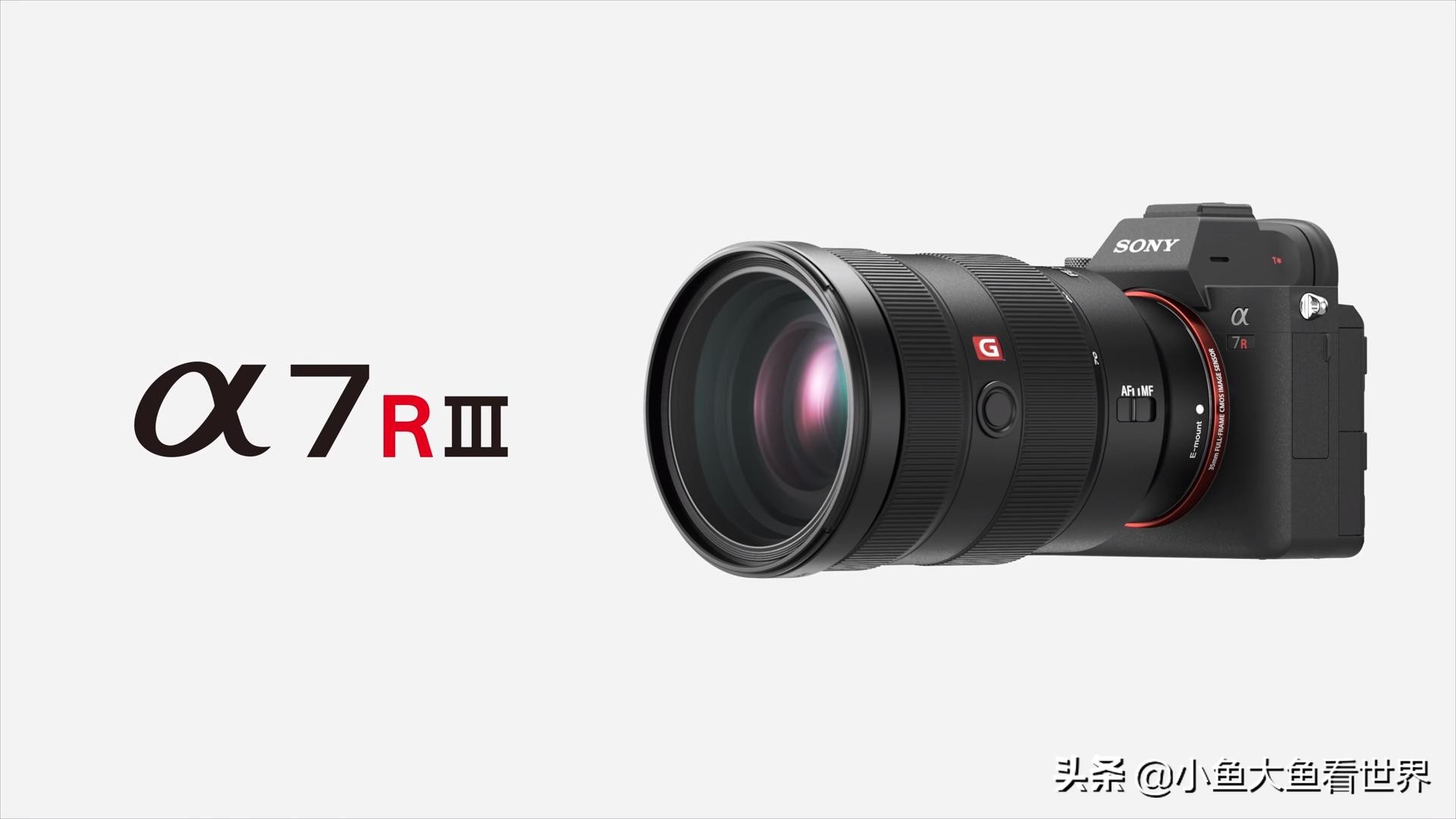 索尼a7r3画质对比佳能eos5d4,索尼a7r3和佳能r5对比哪个好